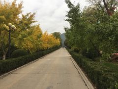 -大鹅岛灶台鱼·铁锅炖(水库路店)