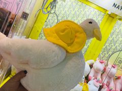 -奈雪的茶(印象城店)