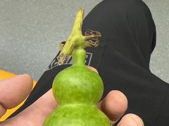 -三鼎园国际温泉酒店