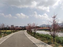 -三垟湿地