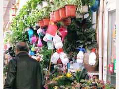 -万商花鸟市场