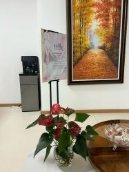 -薇兰专业脱毛连锁机构