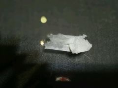 -南京金牛湖巨碗鱼头