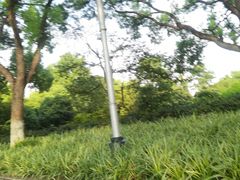 -浙江西子宾馆·瑶园咖啡厅