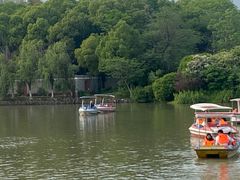 -八大山人梅湖景区