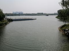 -大兴滨河森林公园