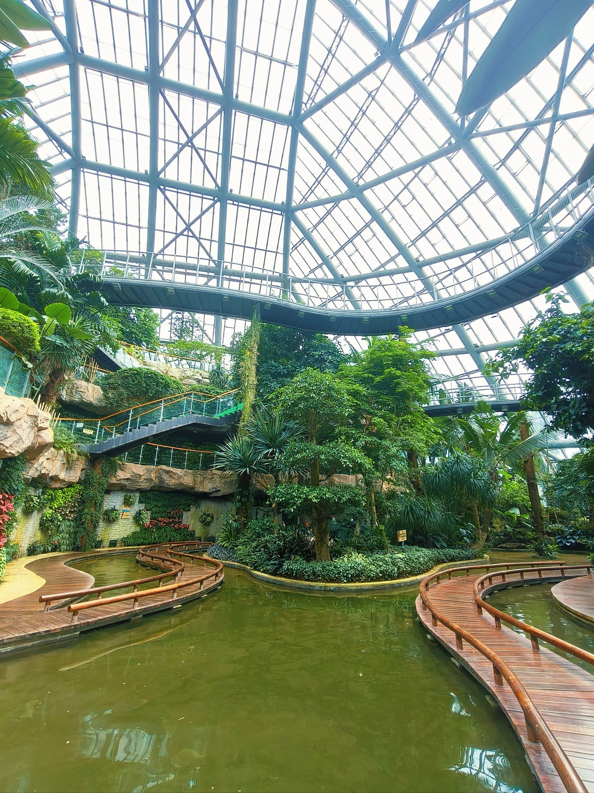 惠州植物园一日游攻略