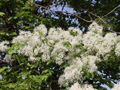 -河南省黄河迎宾馆