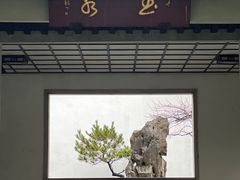 -杭州植物园