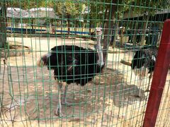 -武汉紫薇都市田园