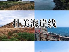 -涉地可支