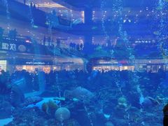 -成都浩海立方海洋公园