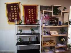 -摩瘦纤体订制减肥