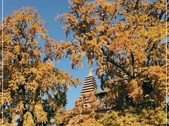-北京石刻艺术博物馆(五塔寺)