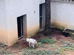 -李东农庄(中南百草园地标店)