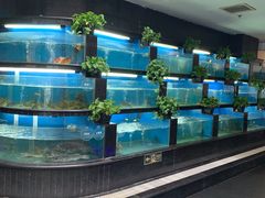 水产区-王家渡火锅店(棕榈泉店)
