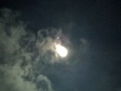 -武陵山森林公园
