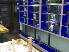 -鲸渝眼镜·浅目视光(春熙路店)
