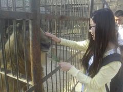 android_upload_pic-石家庄市动物园