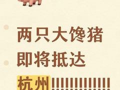 -西湖文化广场
