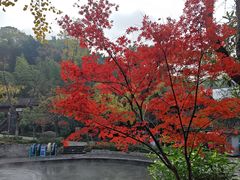-融汇温泉