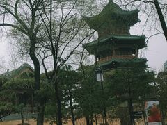 -迎泽公园