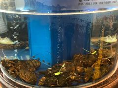 -天顺渔港·海景餐厅(星海广场店)