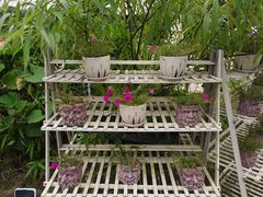 -三圣花乡旅游区