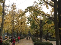 -百林公园-两江幸福广场