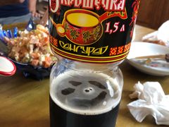 -卓娅俄餐厅(恩和俄罗斯民族乡店)