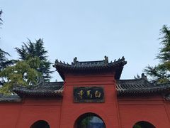 -洛阳白马寺
