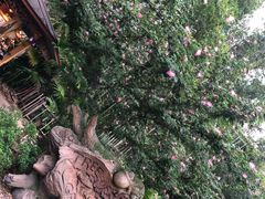 -奥兰多迪士尼动物王国乐园