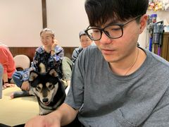 -逗柴咖啡屋·狗咖猫咖宠物桌游