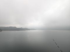 -酒仙湖景区