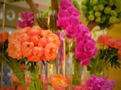 -咖啡苑 - 蔚藍夏日限定主题(永利皇宫店)