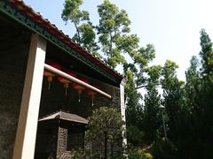 -九龙公园