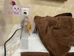 -宠爱国际动物医院· 猫科· 外科·中兽医(长白店)