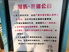 -喵屿·大理花园猫咖