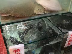 -青石桥市场北1-27号