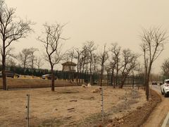 -秦皇岛野生动物园