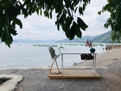 -抚仙湖禄充风景区
