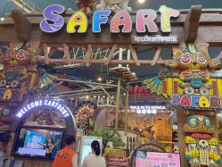 -卡通尼·Safari非洲探索乐园·生日会(金桥国际商业广场店)