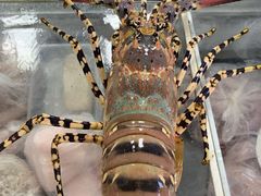 -金源餐馆