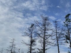 -桤木河湿地公园