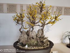 -颐和园