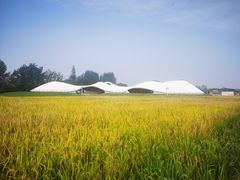 -中国天府农业博览园