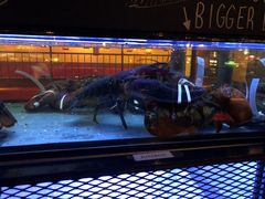 -Burger & Lobster(Dean Street)