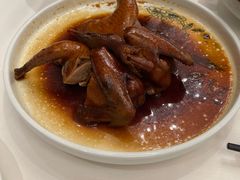 瑞士汁乳鸽-侨美·唐荔园·40年地道粤菜