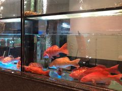 -海都六福酒家(世博广场店)