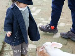 -武汉紫薇都市田园